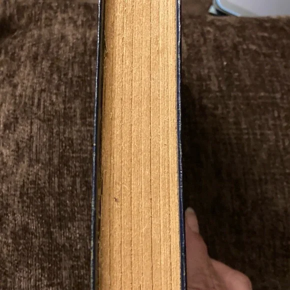 Title: Little Orphan Annie and the Gila Monster Gang
Author/Editor: Harold Gray - Picture 4 of 8